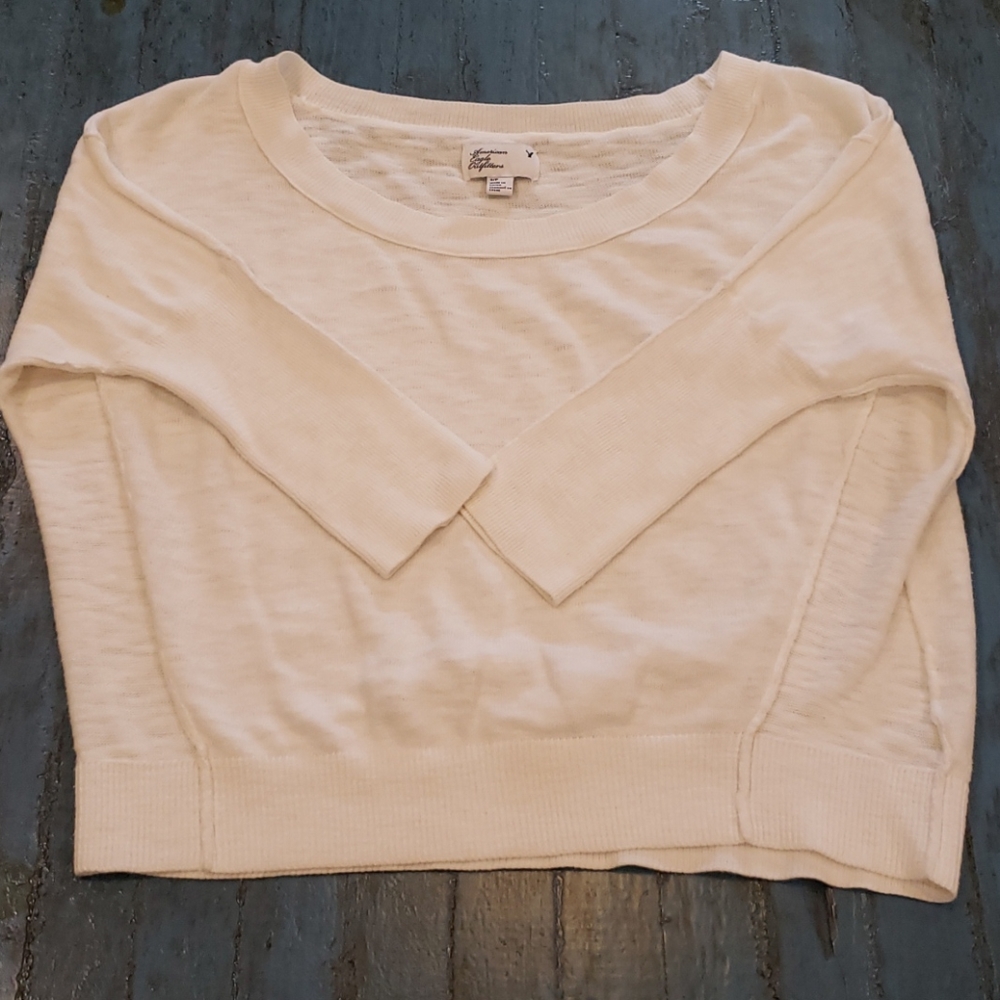 🌺American Eagle Boxy Crop Sweater
